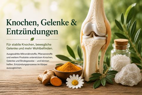 Knochen, Gelenke & Entzündungen