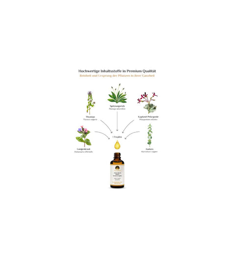 activeMedicus DMSO Kräutertropfen Dr.Hartmut Fischer