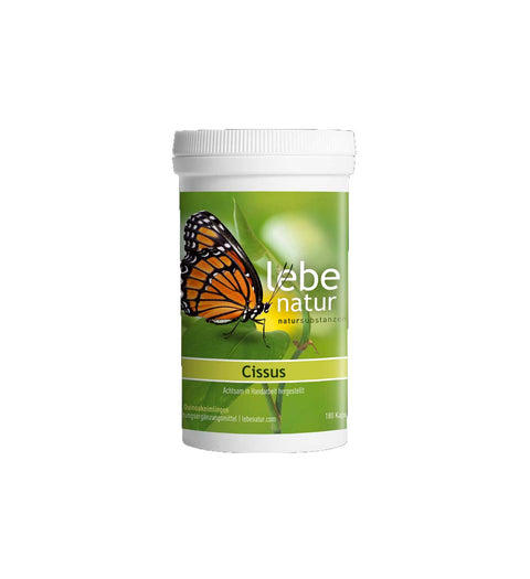 Cissus 180K