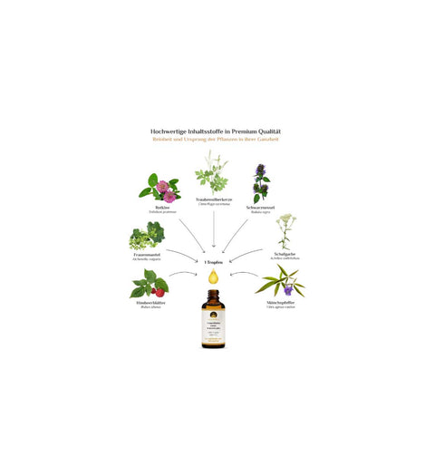 activeMedicus DMSO Kräutertropfen Dr.Hartmut Fischer