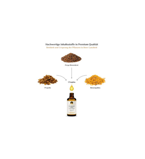activeMedicus DMSO Kräutertropfen Dr.Hartmut Fischer