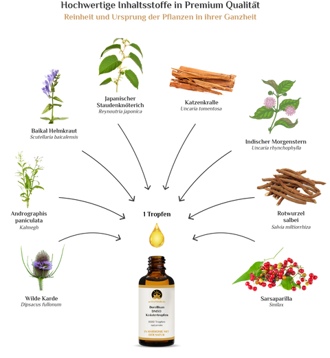 activeMedicus DMSO Kräutertropfen Dr.Hartmut Fischer
