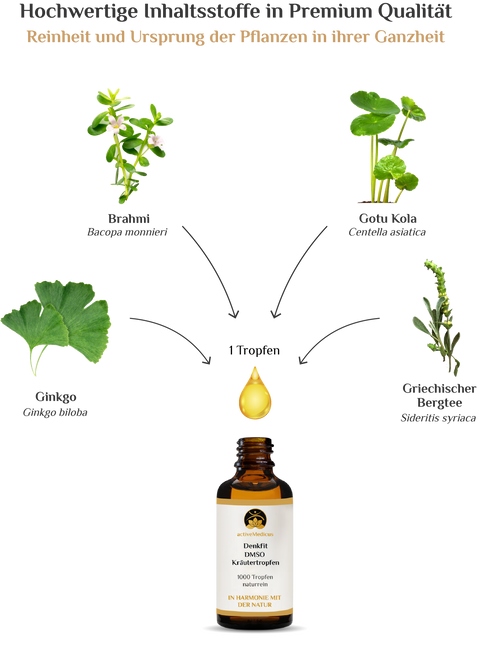 activeMedicus DMSO Kräutertropfen Dr.Hartmut Fischer