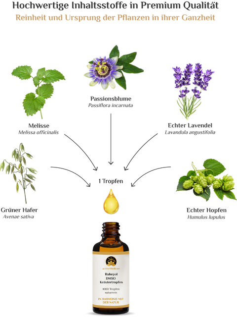 activeMedicus DMSO Kräutertropfen Dr.Hartmut Fischer