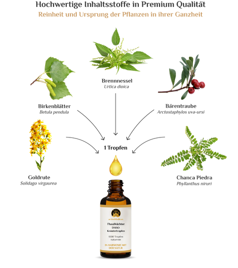 activeMedicus DMSO Kräutertropfen Dr.Hartmut Fischer