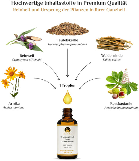 activeMedicus DMSO Kräutertropfen Dr.Hartmut Fischer