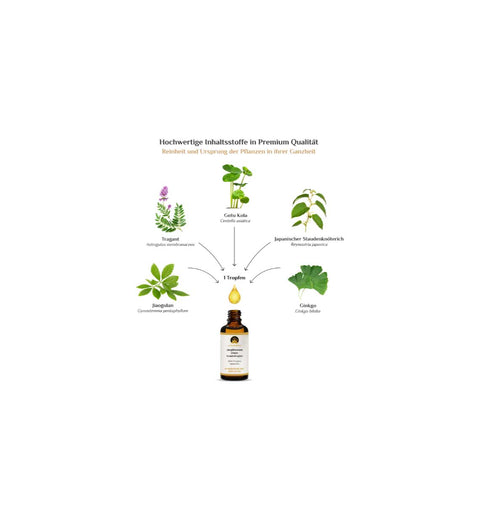 activeMedicus DMSO Kräutertropfen Dr.Hartmut Fischer