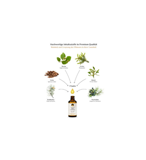 activeMedicus DMSO Kräutertropfen Dr.Hartmut Fischer